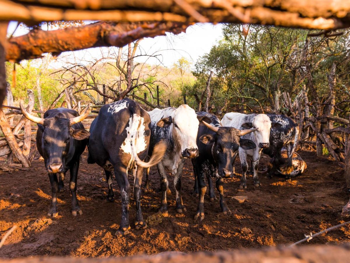 Aha Lesedi African Lodge & Cultural Village Broederstroom Ngoại thất bức ảnh